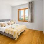 Maj Premium Poreč